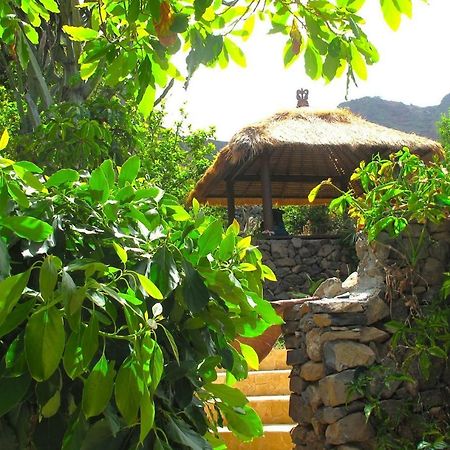 Villa With Ocean View Agulo 외부 사진